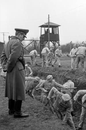 Télécharger Ein Tag - Bericht aus einem deutschen Konzentrationslager 1939 ou regarder en streaming Torrent magnet 