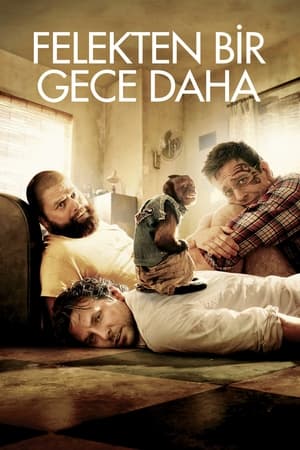 Poster Felekten Bir Gece 2 2011