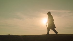 Mr. Turner (2014)