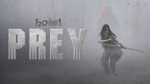 Images posters