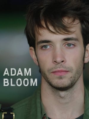 Télécharger Adam Bloom ou regarder en streaming Torrent magnet 
