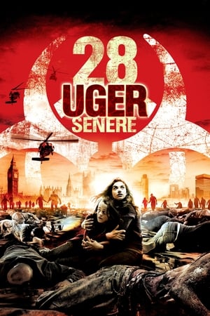 Poster 28 uger senere 2007