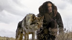 Images posters