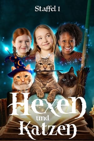 Image Hexen und Katzen