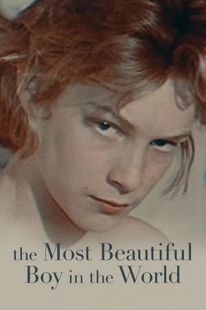 Poster The Most Beautiful Boy in the World 2021