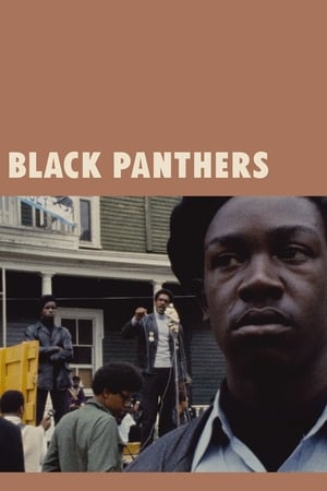 Image Black Panthers