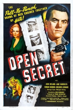 Image Open Secret