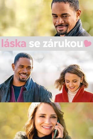 Poster Láska se zárukou 2020