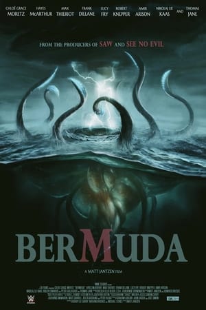Poster Bermuda 2024