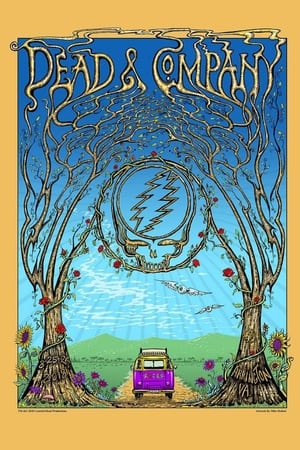 Télécharger Dead  & Company: 2018-08-25 LOCKN' Music Festival, Arrington, VA ou regarder en streaming Torrent magnet 