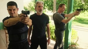 NCIS Season 23 :Episode 2  Prodigal Son (2)