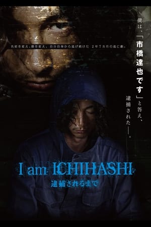 Poster I am ICHIHASHI 逮捕されるまで 2013