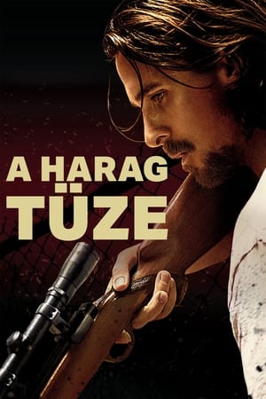 A harag tüze 2013