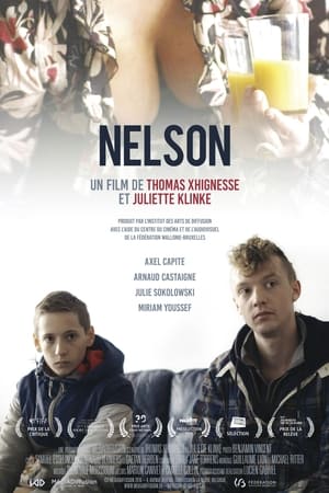 Poster Nelson 2015
