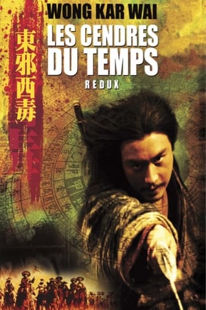 Poster Les Cendres du temps 1994