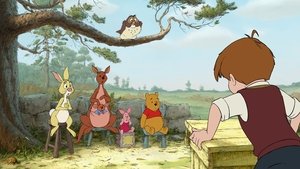 The Many Adventures of Winnie the Pooh The Many Adventures of Winnie the Pooh