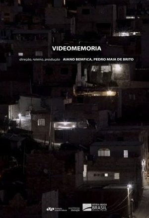 videomemoria (2020)