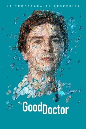 Poster The Good Doctor 2017