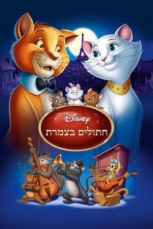 <Images posters