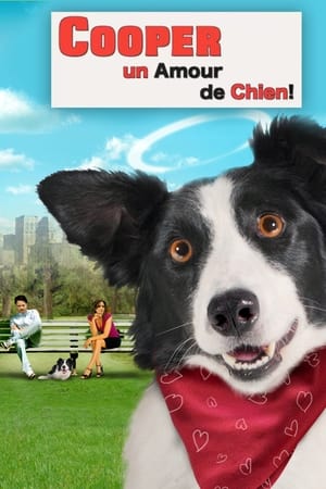 Télécharger Cooper, un amour de chien ou regarder en streaming Torrent magnet 