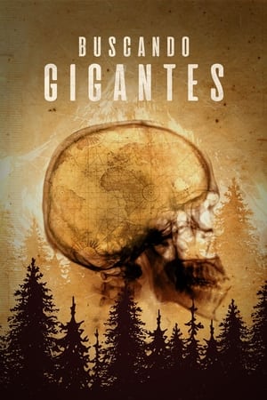 Image Search for the Lost Giants