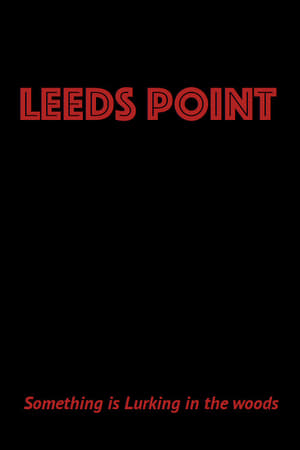 Télécharger Leeds Point ou regarder en streaming Torrent magnet 