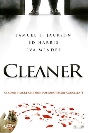 Cleaner 2007