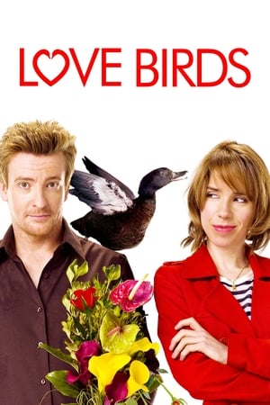 Image Love Birds