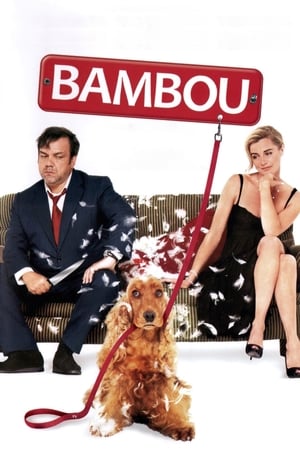 Poster Bambou 2009