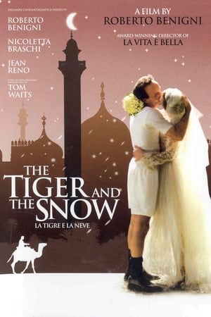 Image Tygrys i śnieg