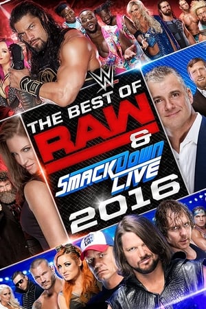 Poster WWE Best of Raw & SmackDown Live 2016 2017
