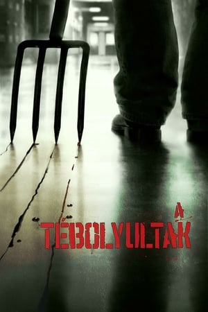 Poster A tébolyultak 2010