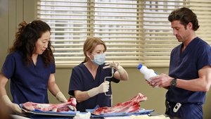 Grey’s Anatomy Season 9 Episode 20