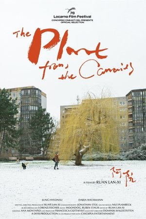 The Plant from the Canaries (2025)