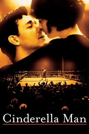 Poster Бајка о боксеру 2005