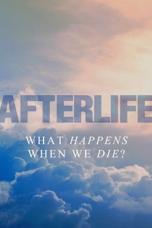 Afterlife 2011