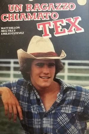 Poster Un ragazzo chiamato Tex 1982