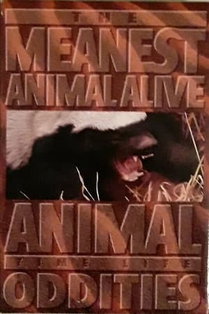 Télécharger Time Life Animal Oddities: The Meanest Animal Alive ou regarder en streaming Torrent magnet 