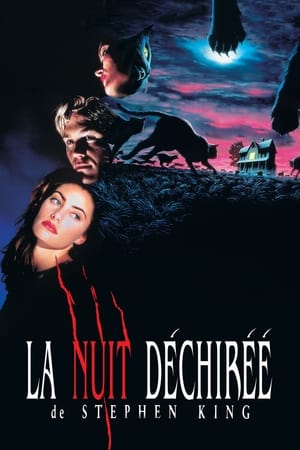 Poster La Nuit déchirée 1992