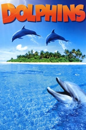 Poster IMAX Nature - Le Dauphin 2000