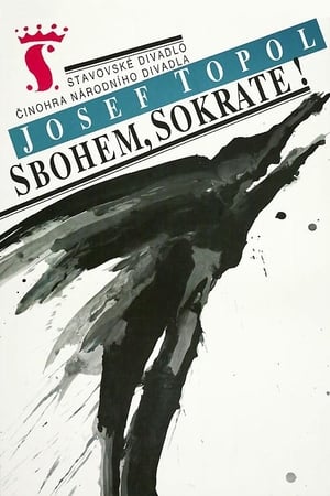 Poster Sbohem, Sokrate 1991