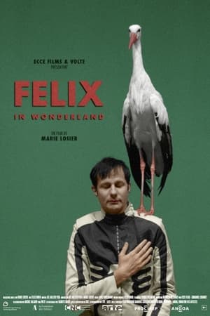 Image Felix in Wonderland
