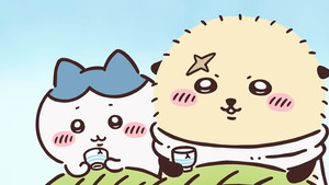 Chiikawa Season 1 :Episode 335  Episode 335