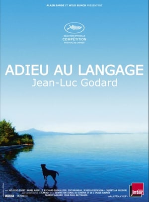 Poster Adieu au langage 2014