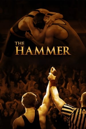 Image The Hammer