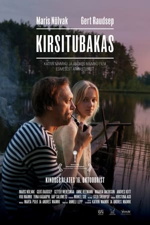 Poster Kirsitubakas 2014