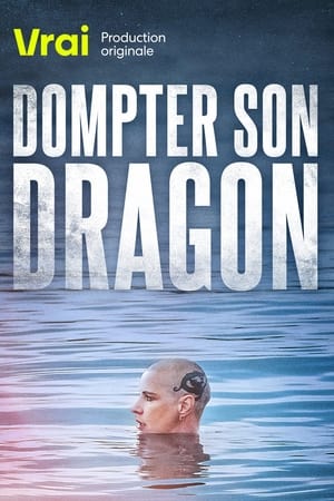 Télécharger Dompter son dragon ou regarder en streaming Torrent magnet 