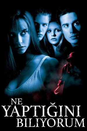 Poster Ne Yaptığını Biliyorum 1997