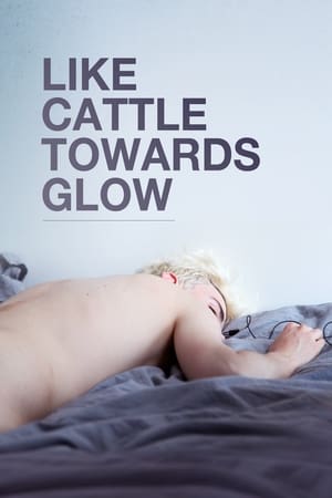 Image Like Cattle Towards Glow