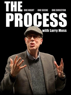 Poster The Process 2024